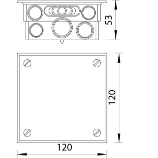 5015545 2.jpg
